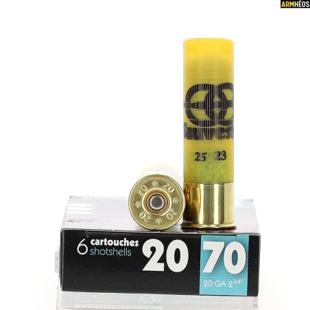 SAUVESTRE CAL. 20/70  347GR /  22.5 GRAMMES BOITE DE 6
