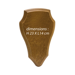 Ecusson pour trophée chevreuil PM