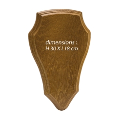 Ecusson pour trophée chevreuil M