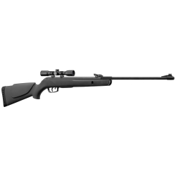 Gamo Pack Carabine air...