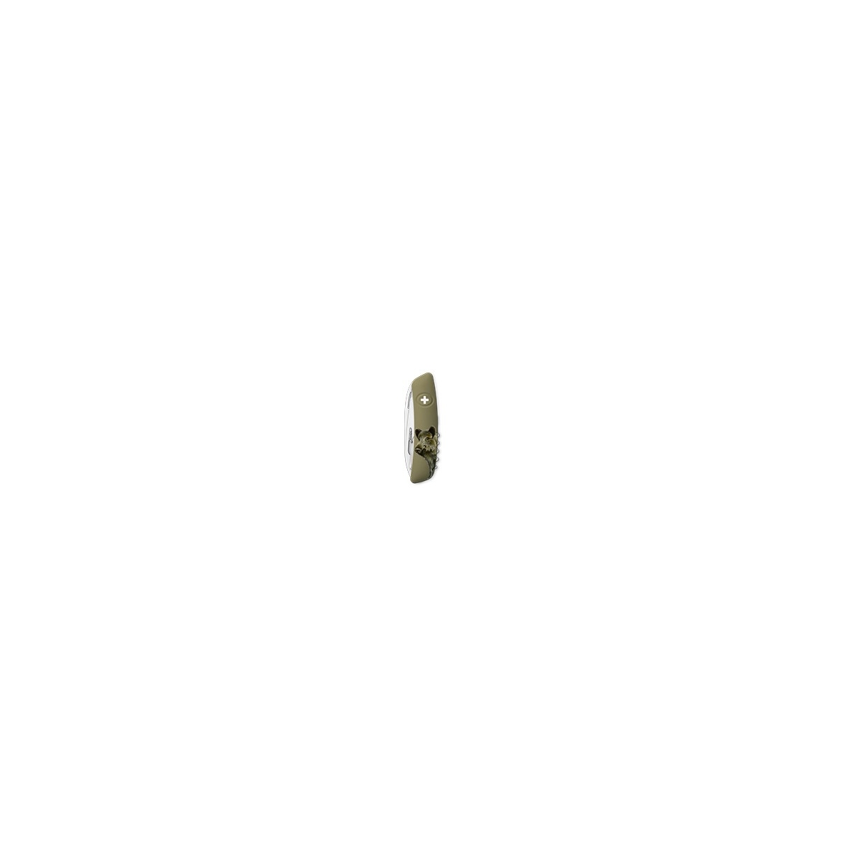 D05. OLIVE. IMPRESSION SANGLIER