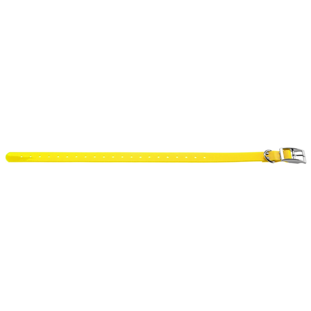 COLLIER POUR CHIEN 2,5 CM EN POLYURETHANE JAUNE