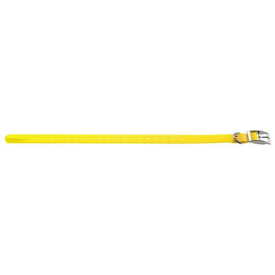 COLLIER POUR CHIEN 2,5 CM EN POLYURETHANE JAUNE