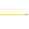 COLLIER POUR CHIEN 2,5 CM EN POLYURETHANE JAUNE