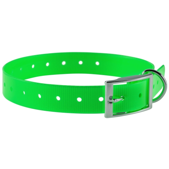 COLLIER POUR CHIEN 2,5 CM EN POLYURETHANE VERT