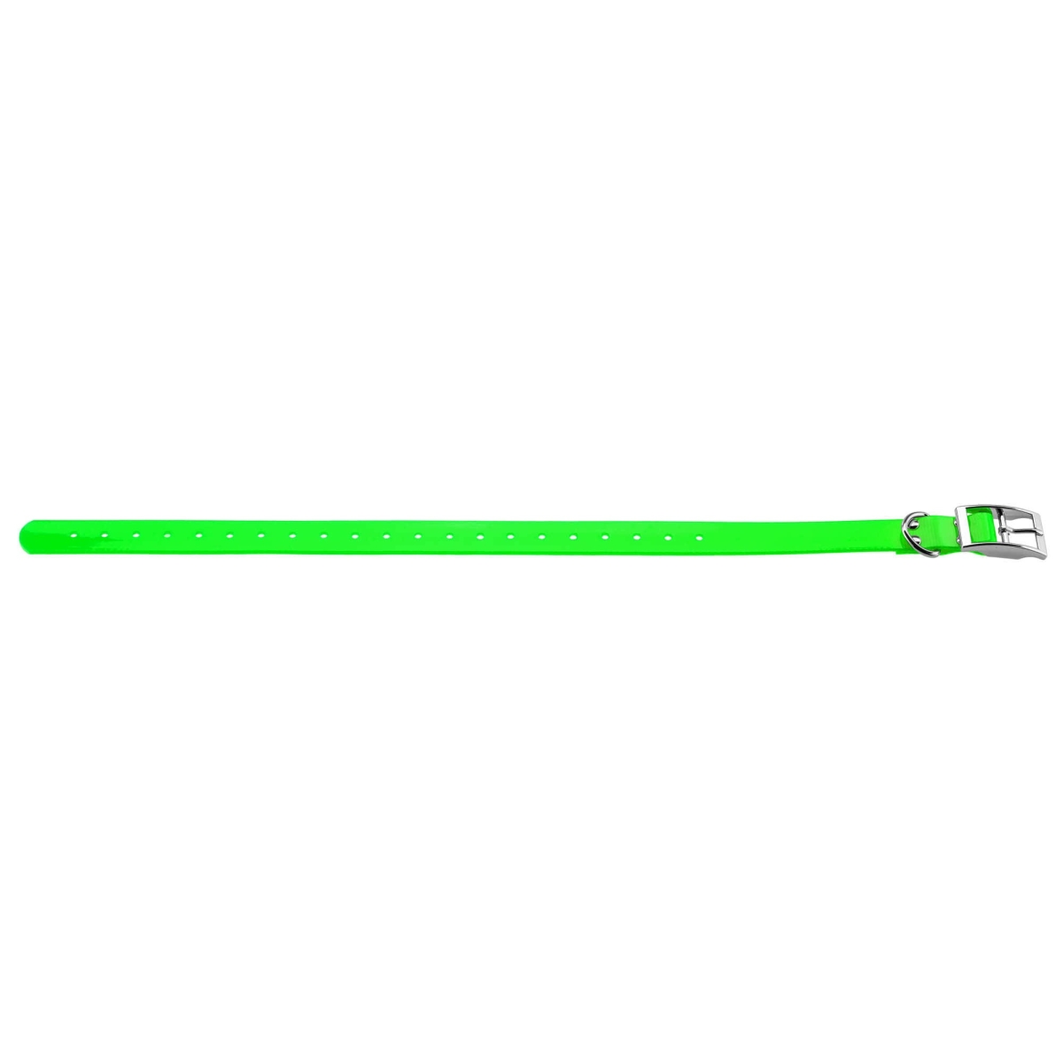 COLLIER POUR CHIEN 2,5 CM EN POLYURETHANE VERT