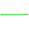 COLLIER POUR CHIEN 2,5 CM EN POLYURETHANE VERT