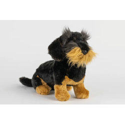 PELUCHE TECKEL POILS DURS -...