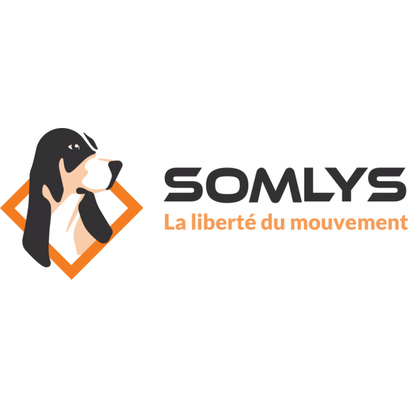 SOMLYS