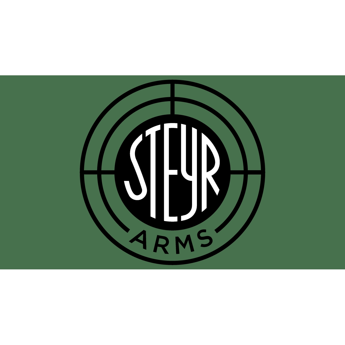 STEYR