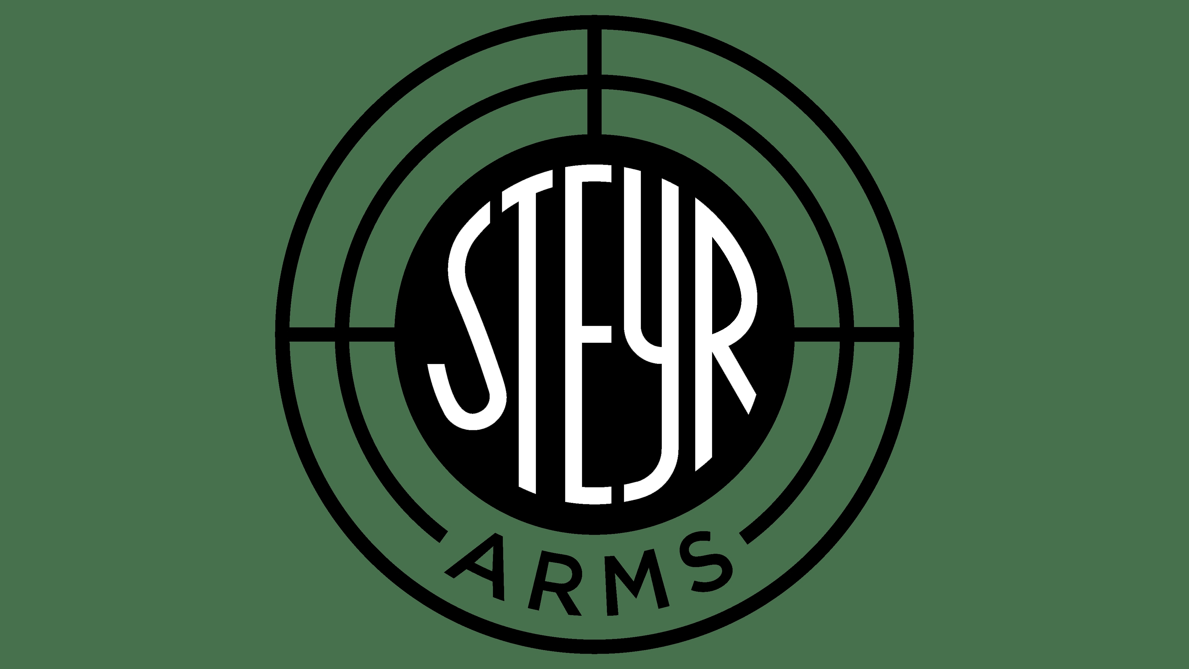 STEYR
